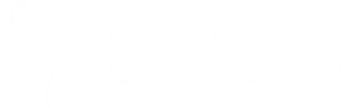 Ersa — Rasyo Holding bünyesindeki markalardan biri Ersa